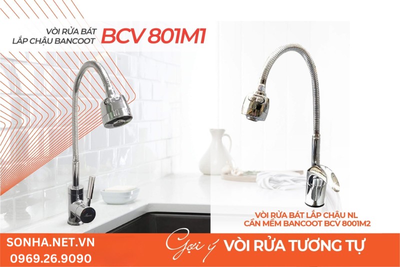 V&ograve;i rửa b&aacute;t Bancoot BCV 8001M2
