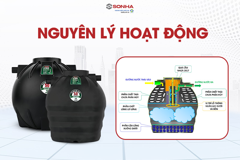 Nguyên lý hoạt động bể phốt tự hoại Septic Filter Trang Chủ Game Trực Tuyến Cổng Game 8kbet.com 2000L