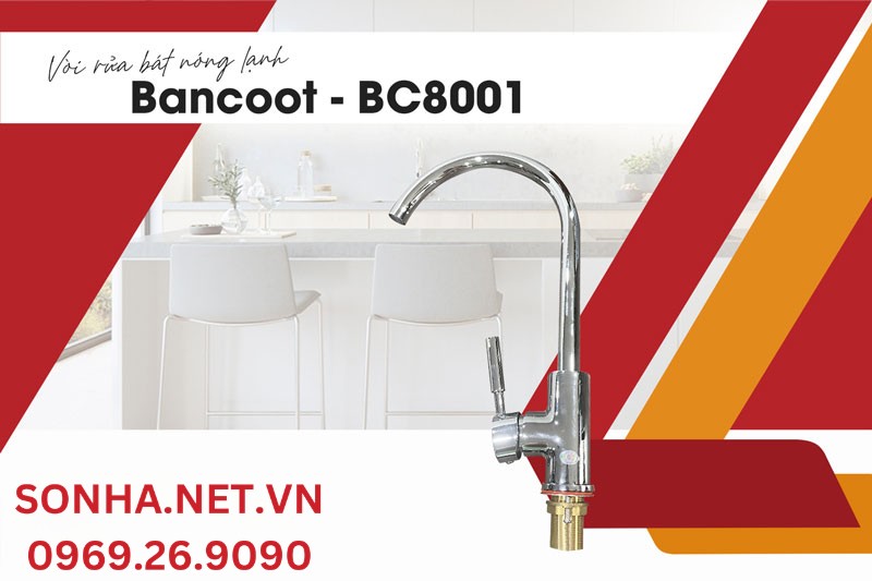 Sự lựa chọn tuyệt vời kh&aacute;c chậu Bancoot 209RTB v&agrave; v&ograve;i Bancoot BC8001