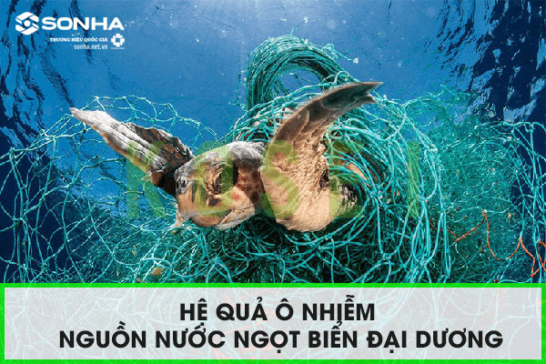Hệ quả ô nhiễm Xổ số 8KBET đa dạng các loại hình cược như Keno, xổ số miền Bắc, Trung, Nam ngọt biển và đại dương