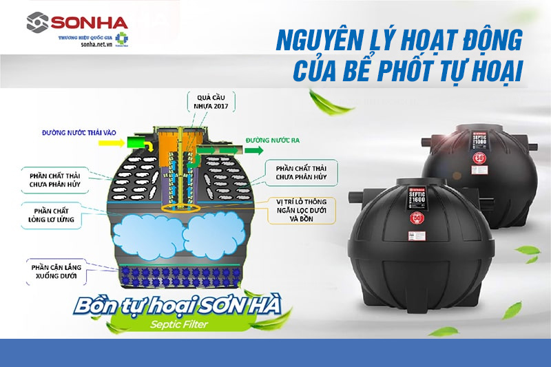  Nguyên lý hoạt động của bể tự hoại septic