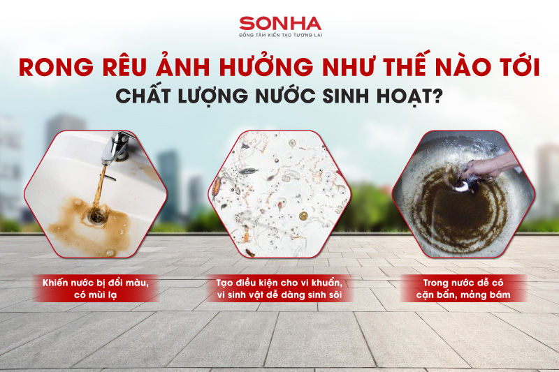Rong rêu ảnh hưởng như thế nào tới Xổ số 8KBET đa dạng các loại hình cược như Keno, xổ số miền Bắc, Trung, Nam sinh hoạt